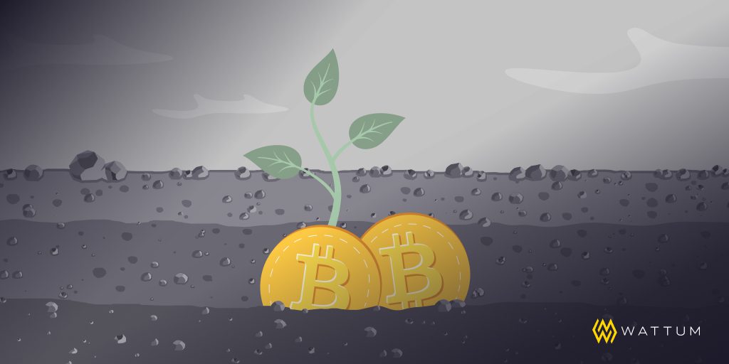Bitcoin Mining: Socio-Environmental Perception and Green Energy