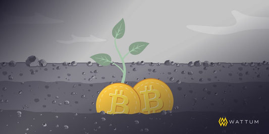 Bitcoin Mining: Socio-Environmental Perception and Green Energy