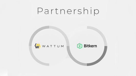 WATTUM and Bitkern: WATTUM is entering the European Market