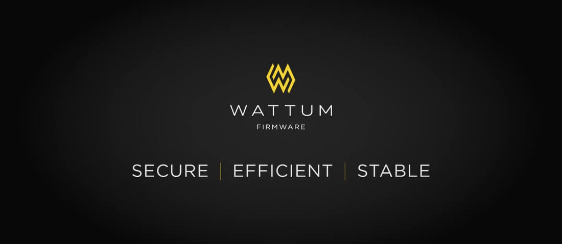 Push the Limits of Firmware with Wattum
