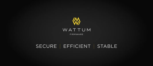 Push the Limits of Firmware with Wattum