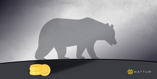 Bear Essentials: The Challenges and Opportunities of Bitcoin Mining in a Bear Market